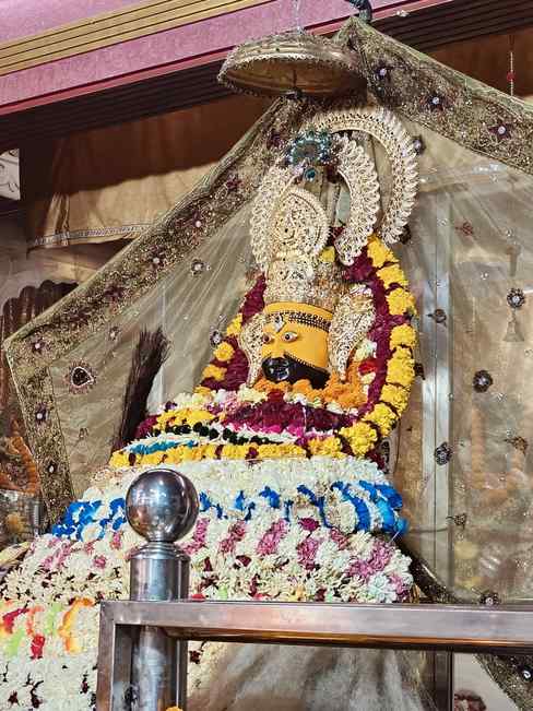 Shyam Baba in his golden crown and peacock feather, covered in garlands of marigold, rose and rajnigandha